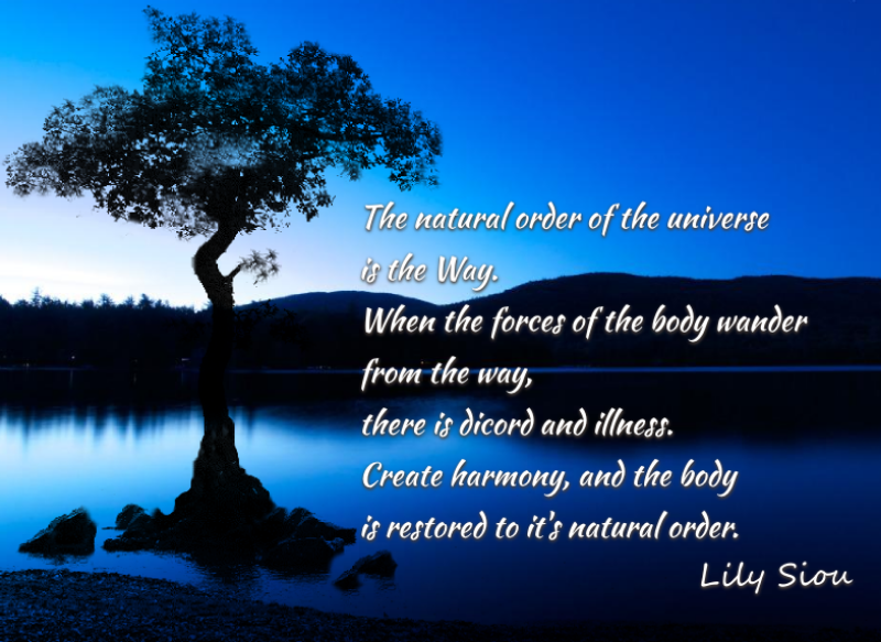 photo of tree in lake & quote of Lily Siou